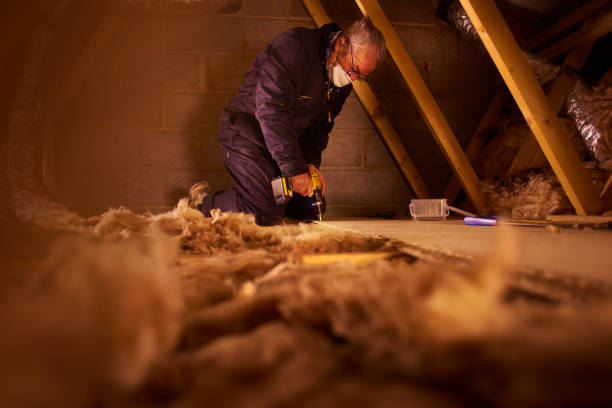 Best Types of Insulation in Schuylkill Haven, PA